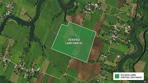 Satellite view of Parcela Central